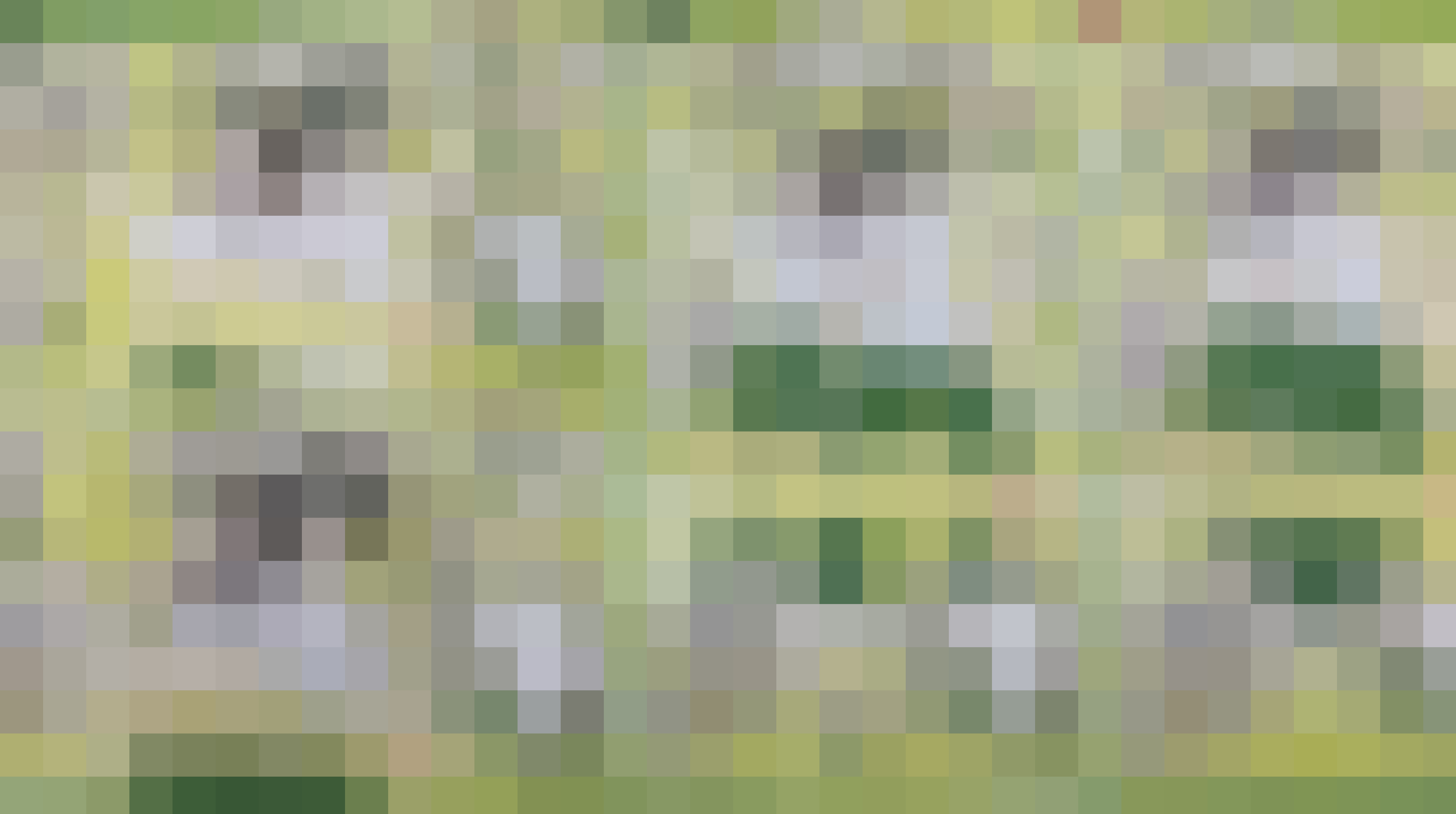 #1 大運動会／インスタライブ／B.C STOCKさんコラボの進捗報告